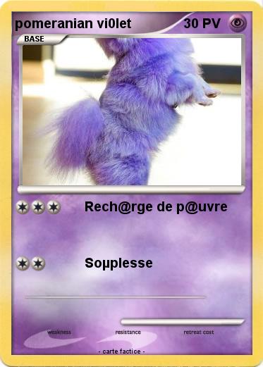 Pokemon pomeranian vi0let