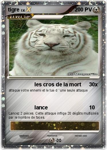 Pokemon tigre