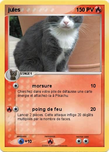 Pokemon jules