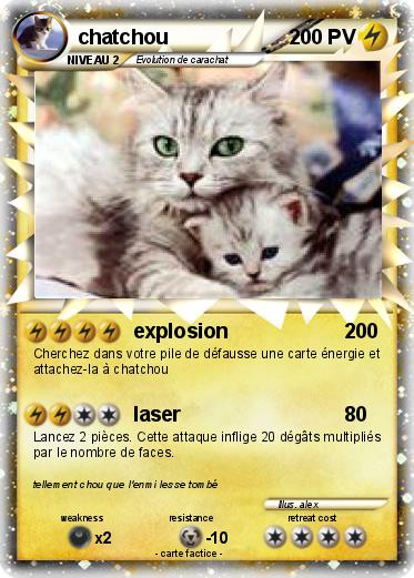 Pokemon chatchou