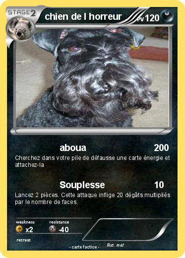 Pokemon chien de l horreur