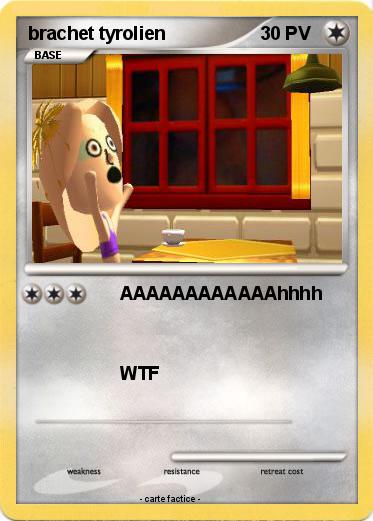 Pokemon brachet tyrolien