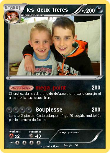 Pokemon les  deux  freres