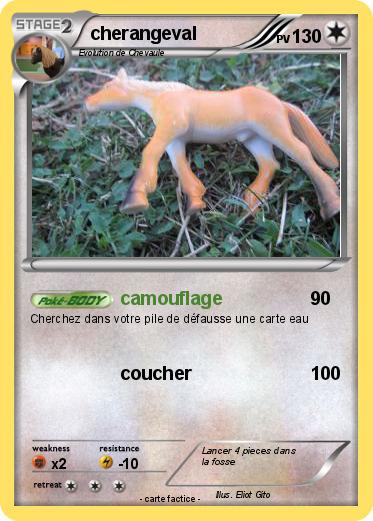 Pokemon cherangeval