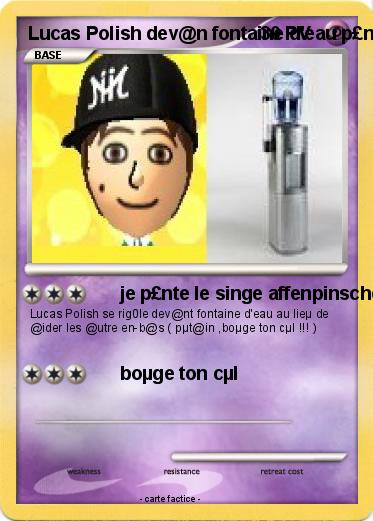 Pokemon Lucas Polish dev@n fontaine d'eau p£nt singe affenpinscher