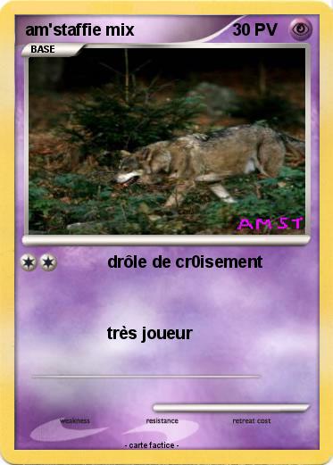 Pokemon am'staffie mix