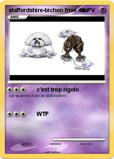 Pokemon staffordshire-bichon frise mix