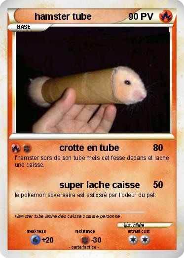Pokemon hamster tube