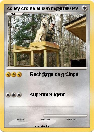 Pokemon colley croisé et s0n m@itre