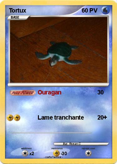 Pokemon Tortux
