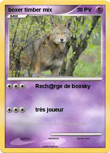 Pokemon boxer timber mix