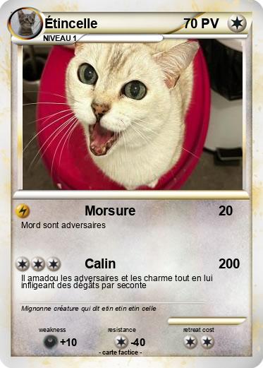 Pokemon Étincelle