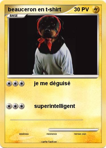 Pokemon beauceron en t-shirt