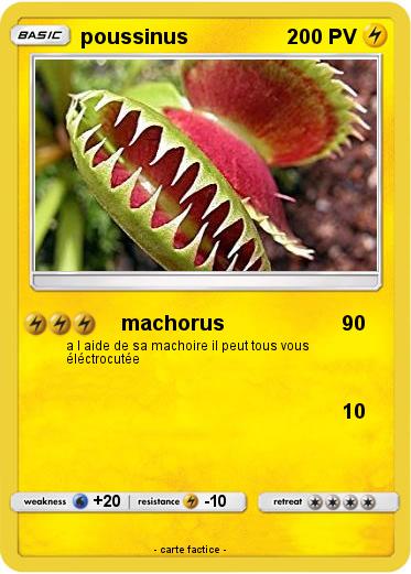 Pokemon poussinus