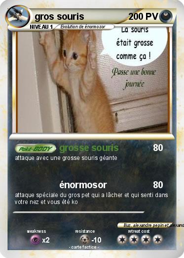 Pokemon gros souris