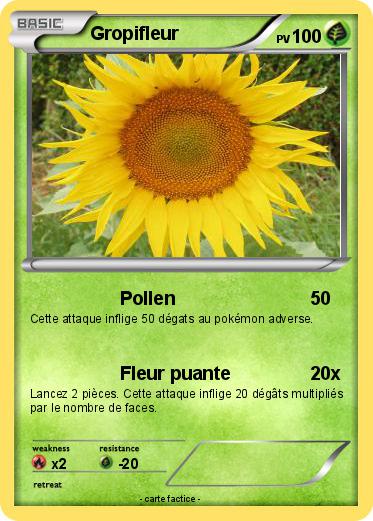 Pokemon Gropifleur