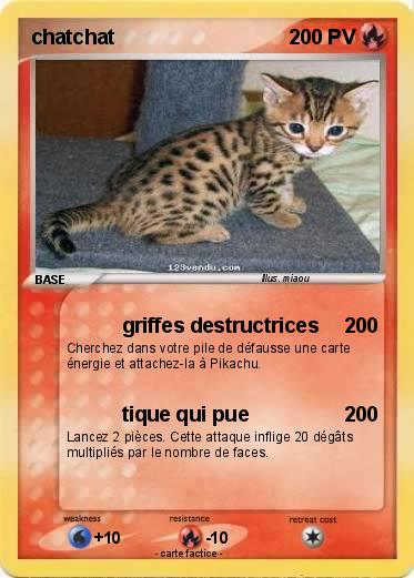Pokemon chatchat