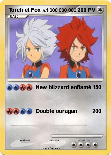Pokemon Torch et Fox