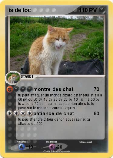 Pokemon is de loc