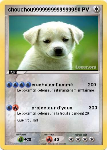 Pokemon chouchou99999999999999