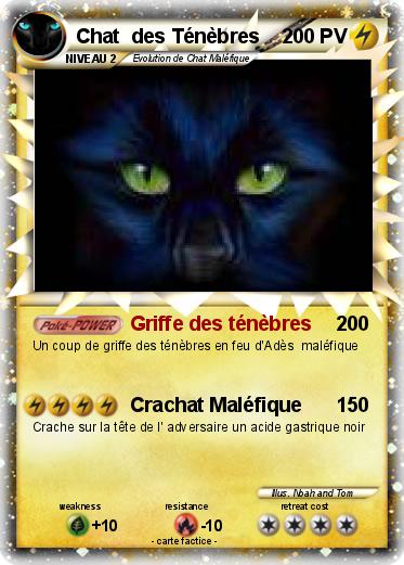 Pokemon Chat  des Ténèbres