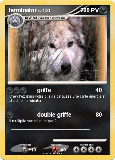 Pokemon terminator