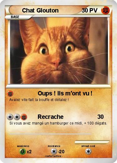 Pokemon Chat Glouton