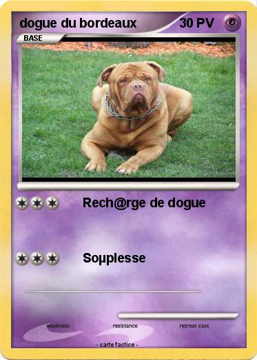 Pokemon dogue du bordeaux