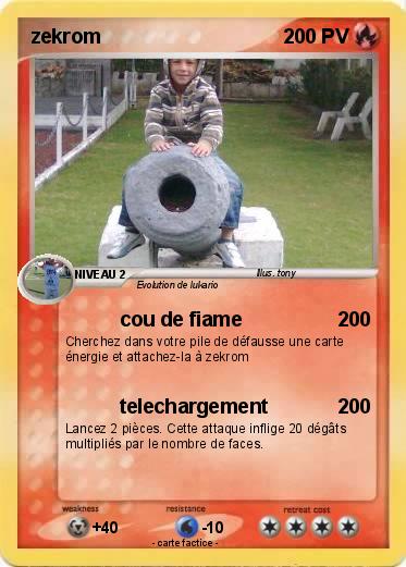 Pokemon zekrom