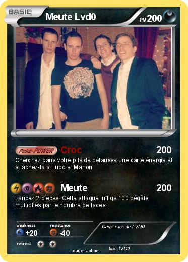 Pokemon Meute Lvd0