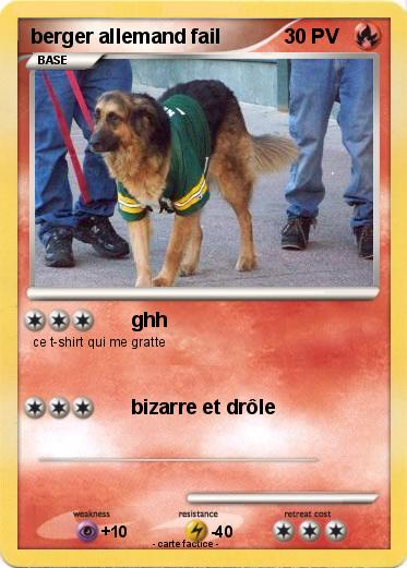 Pokemon berger allemand fail