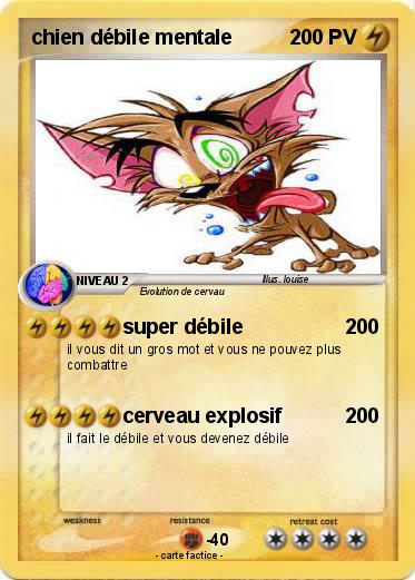 Pokemon chien débile mentale