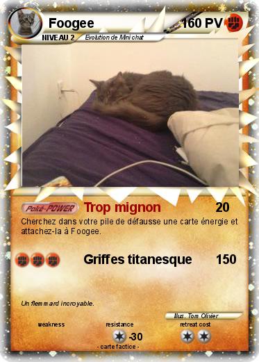 Pokemon Foogee