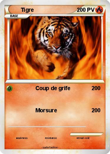 Pokemon Tigre