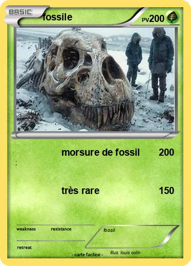 Pokemon fossile