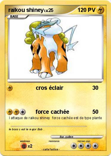Pokemon raikou shiney