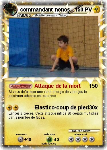 Pokemon commandant nonos