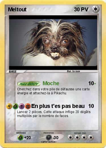 Pokemon Meltout