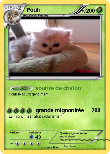 Pokemon Poufi