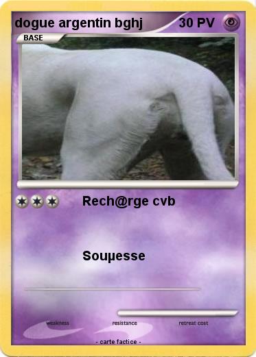 Pokemon dogue argentin bghj