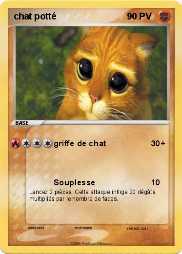 Pokemon chat potté