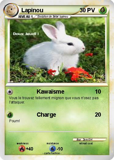 Pokemon Lapinou