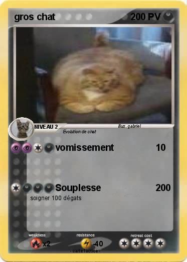 Pokemon gros chat