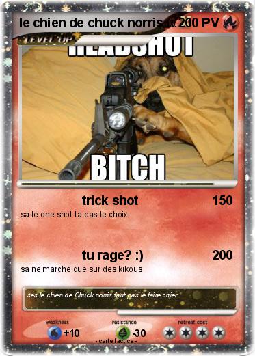 Pokemon le chien de chuck norris