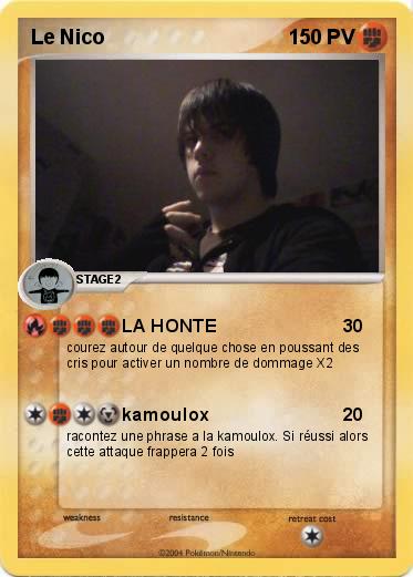 Pokemon Le Nico