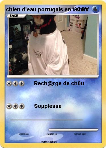 Pokemon chien d'eau portugais en t-shirt