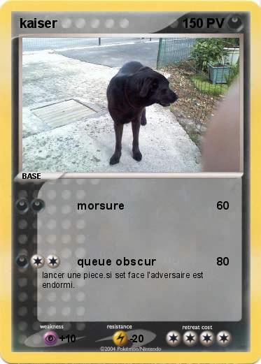 Pokemon kaiser
