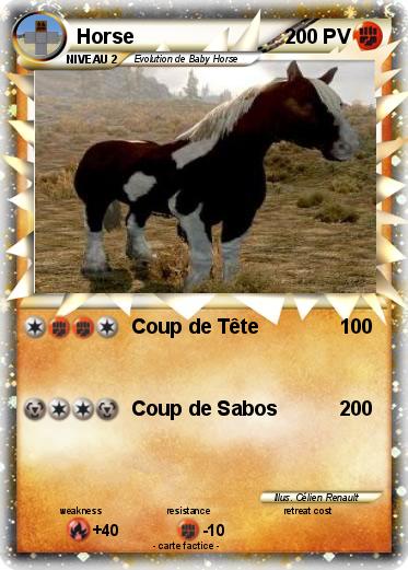 Pokemon Horse