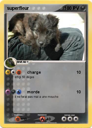 Pokemon superfleur