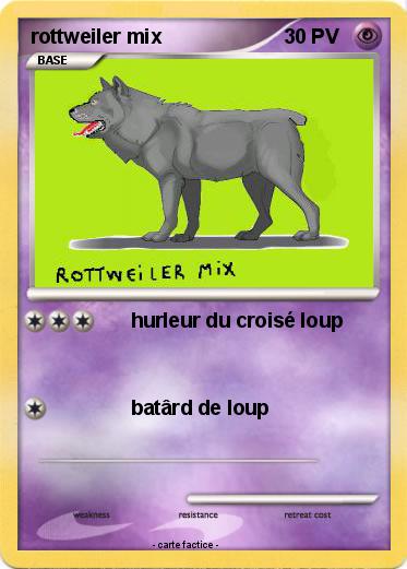 Pokemon rottweiler mix